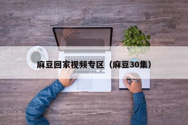 麻豆回家视频专区（麻豆30集）