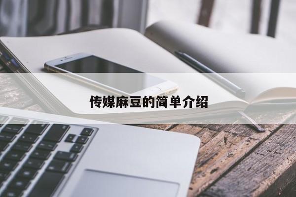 传媒麻豆的简单介绍